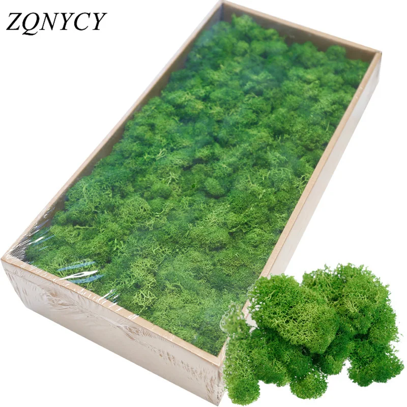 40g Artificial Plants Eternal Life Green Moss Grass Home Living Room Garden Decoration Mini Landscape Fake Flower DIY Crafts