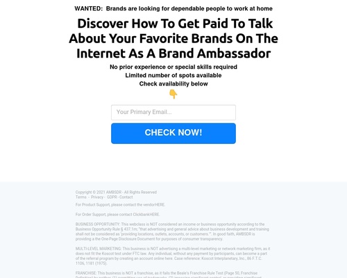 AMBSDR + Get Paid To Talk About Your Favorite Brands On The Internet!