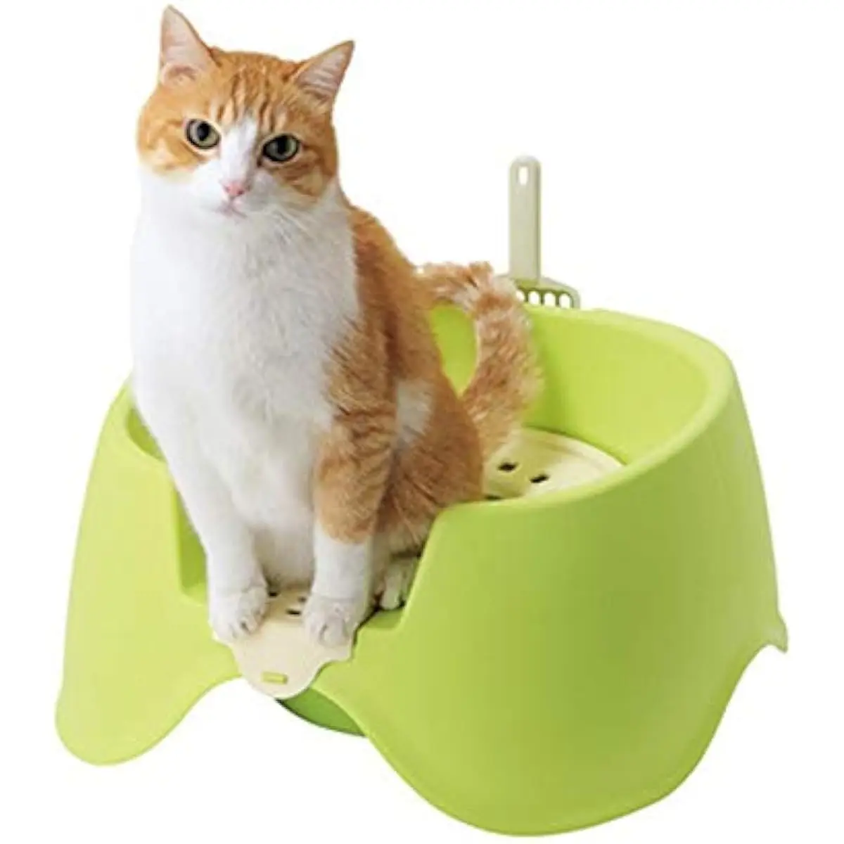 Big Cat Training Toilet Toolbox Pet Supplies Plastic Big Cat Litter Tray Cover Portable Potty Teach Cat to Use Toilet Trainer