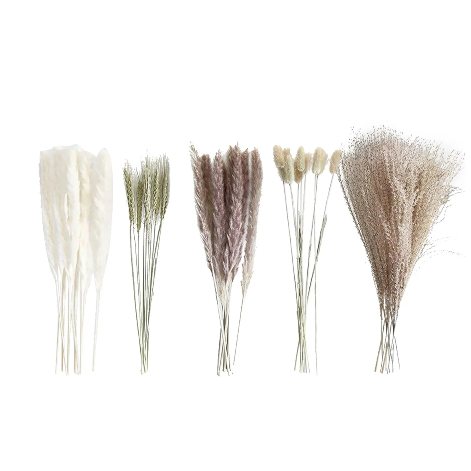 Dried Reed Flower Small Dried Flower Bouquet Small Whisk Small Pampas Grass Dried Flowers Rabbittail Home Decoration Furnishings