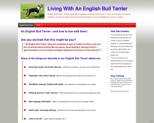 Learning To Live With An English Bull Terrier from Puppy To Adult